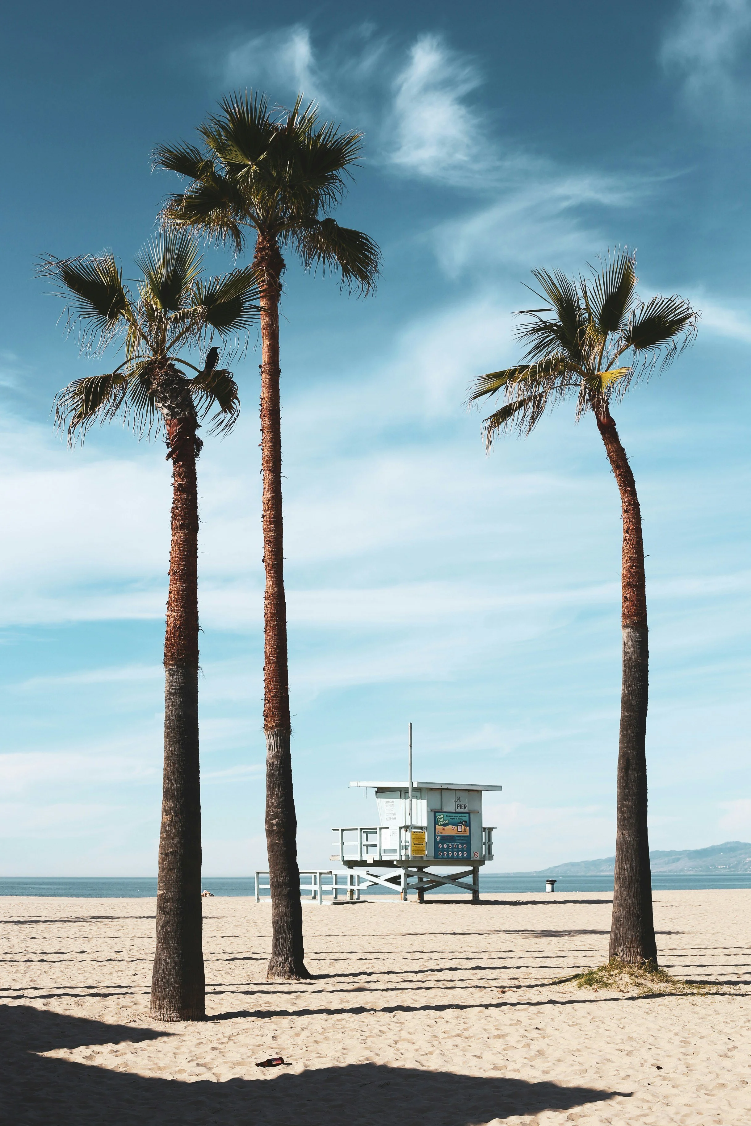 Three tall palm trees on a sandy beach with a blue sky and wispy clouds. A lifeguard tower with signage is visible in the background, overlooking the ocean.
