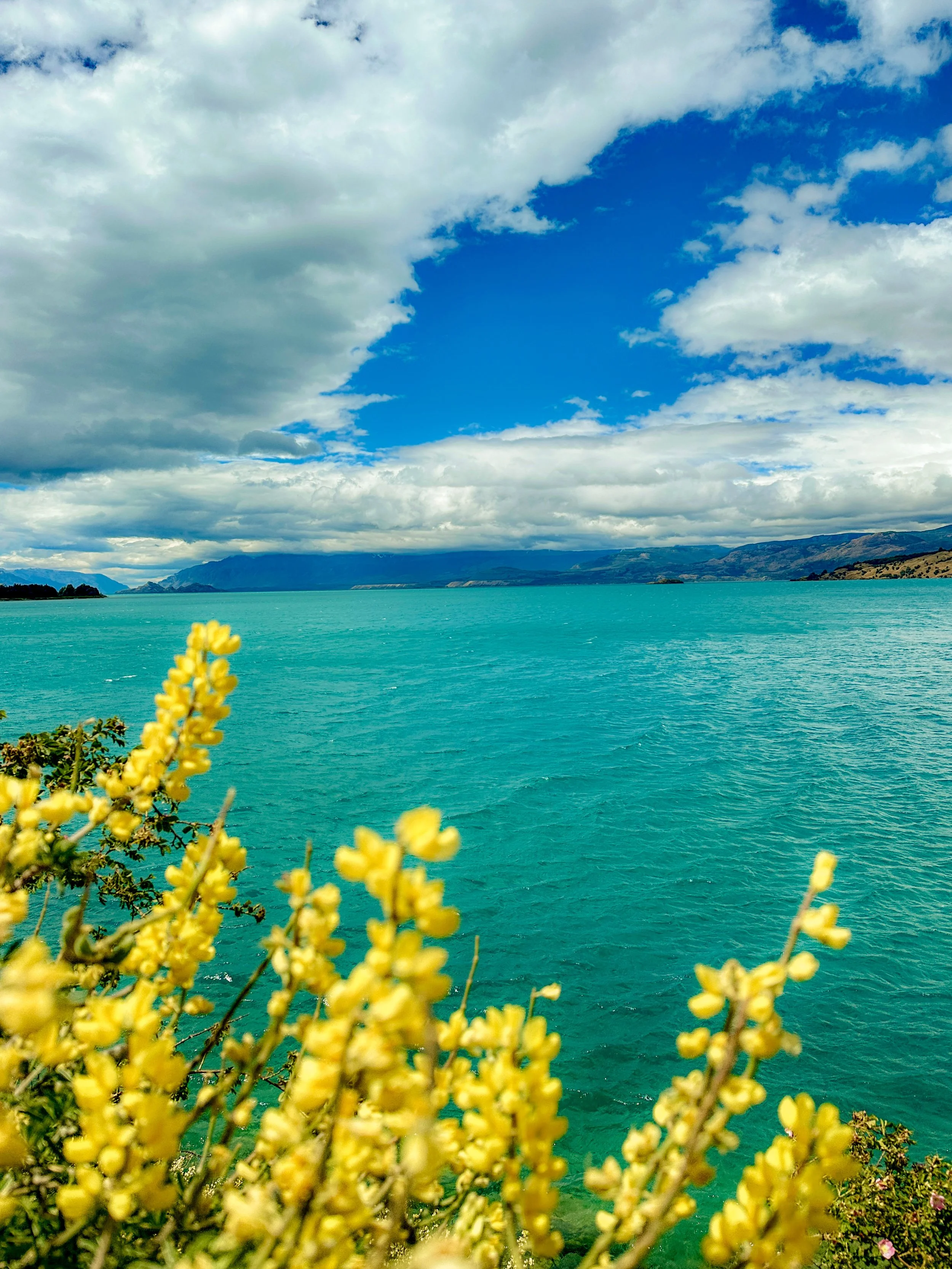 A body of turquoise water with a mountain range in the background, scattered clouds in the sky, and yellow flowers in the foreground.