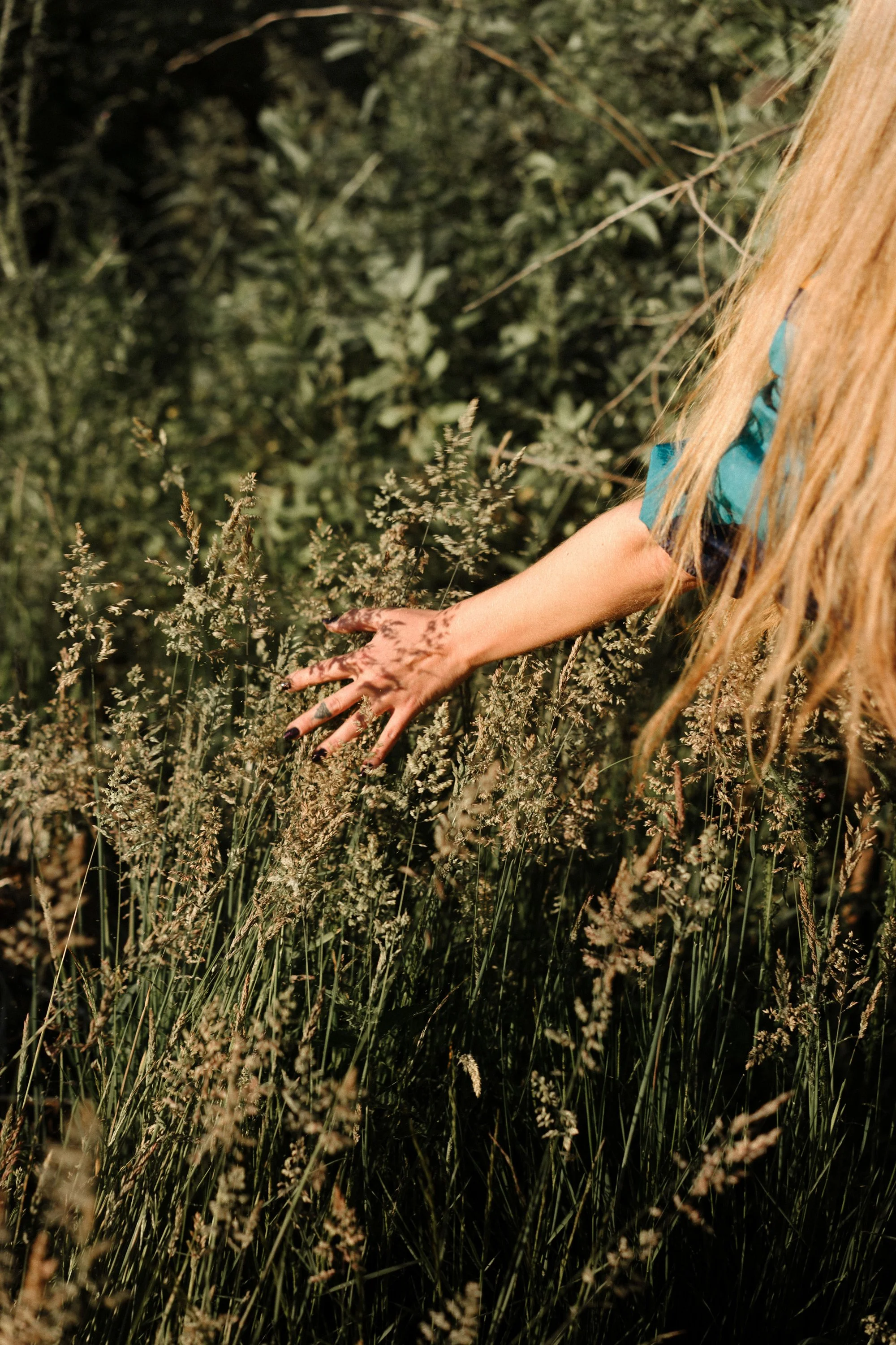 Main d'une femme avec des tatouages touchant des herbes dans une prairie dense