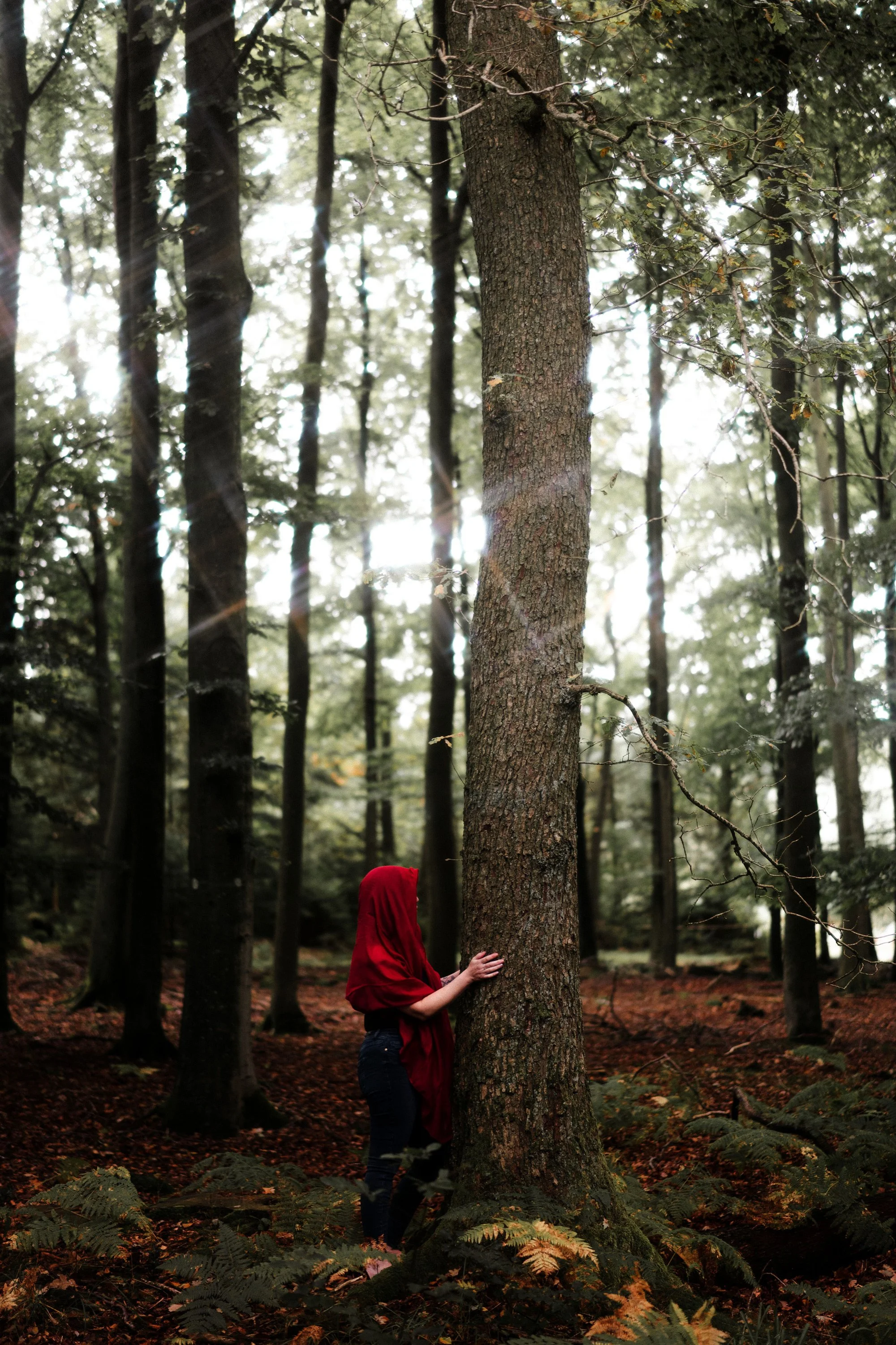 Une personne vêtue d'un manteau rouge et d'un hoodie rouge se tient dans une forêt, appuyée contre un arbre. La forêt est dense, avec de nombreux arbres hauts et feuillage vert, et le sol est recouvert de feuilles mortes et de fougères.
