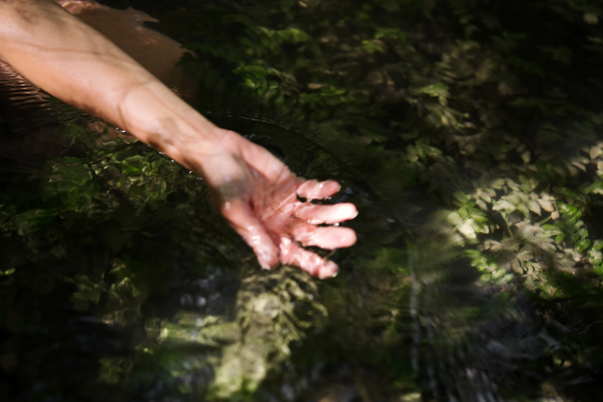 Une main touche l'eau claire d'une petite rivière entourée de verdure.