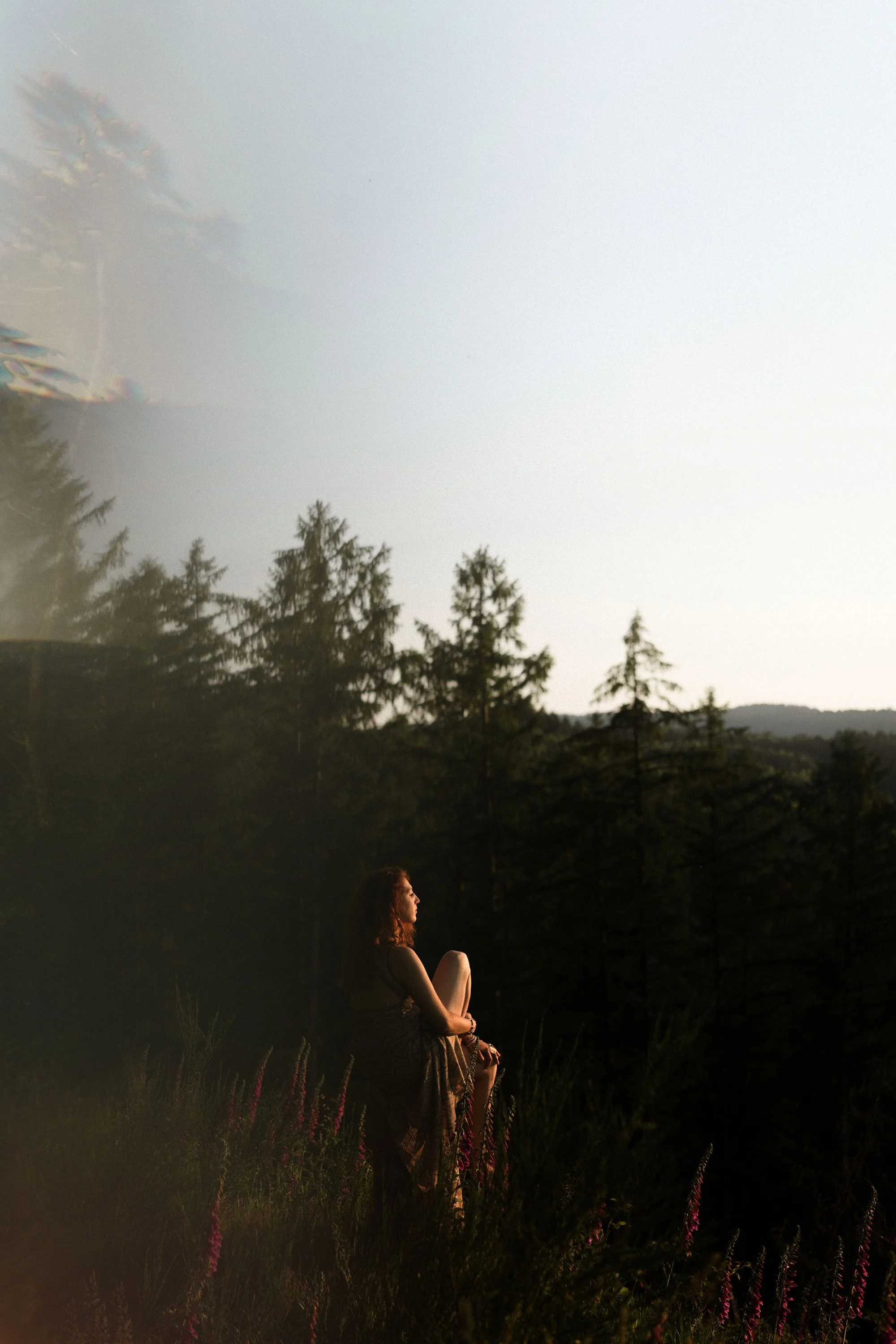 Une femme assise dans la nature au crépuscule, entourée d'arbres et de fleurs, regardant vers l'horizon.