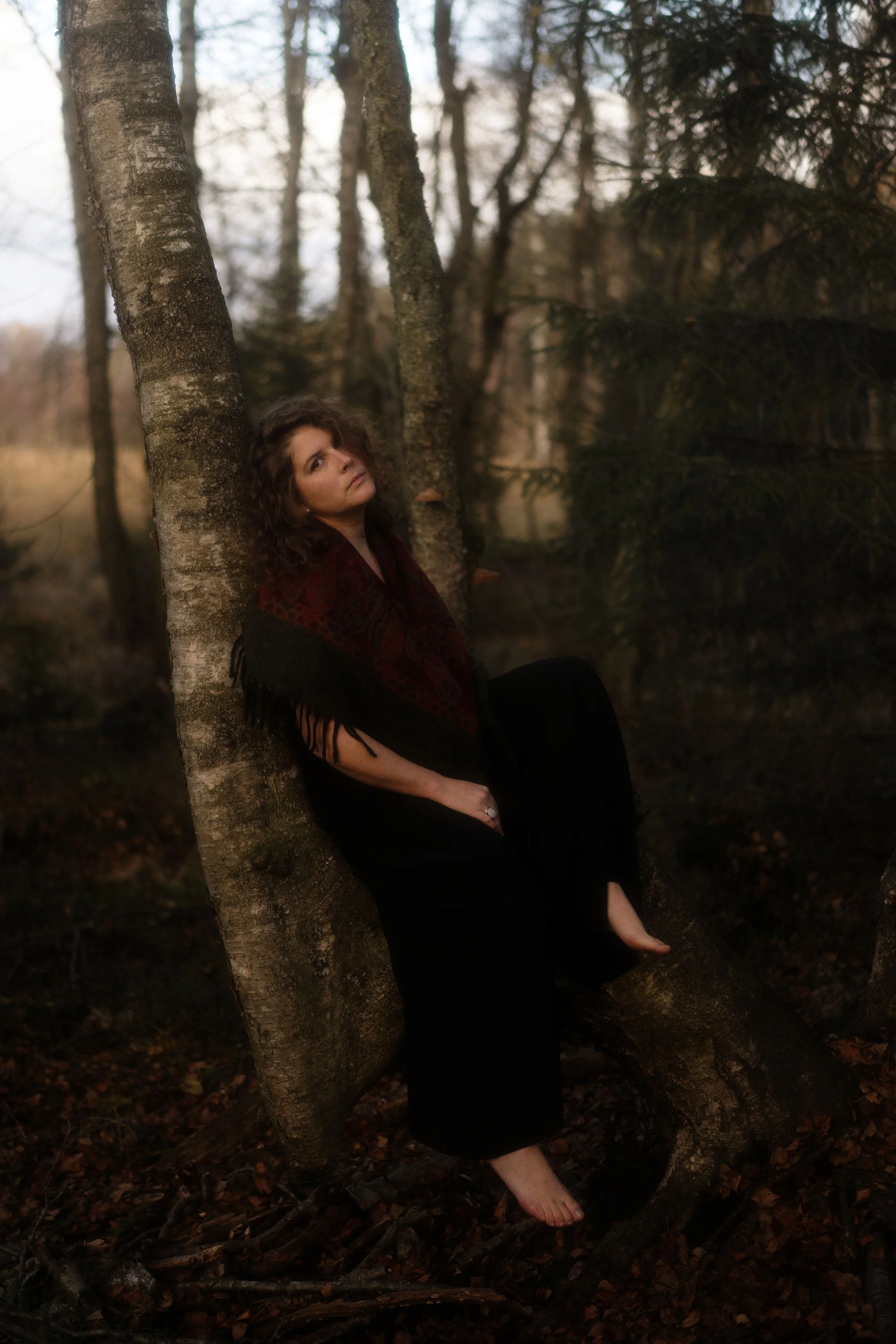Une femme aux cheveux bouclés, portant une robe noire et un châle rouge, est assise sur un arbre dans une forêt en automne, avec un arrière-plan de branches d'arbres et de feuilles tombées.