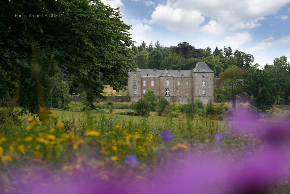 Un château en pierre entouré de verdure, avec un ciel partiellement nuageux, vu à travers un champ de fleurs sauvages jaunes et violettes.