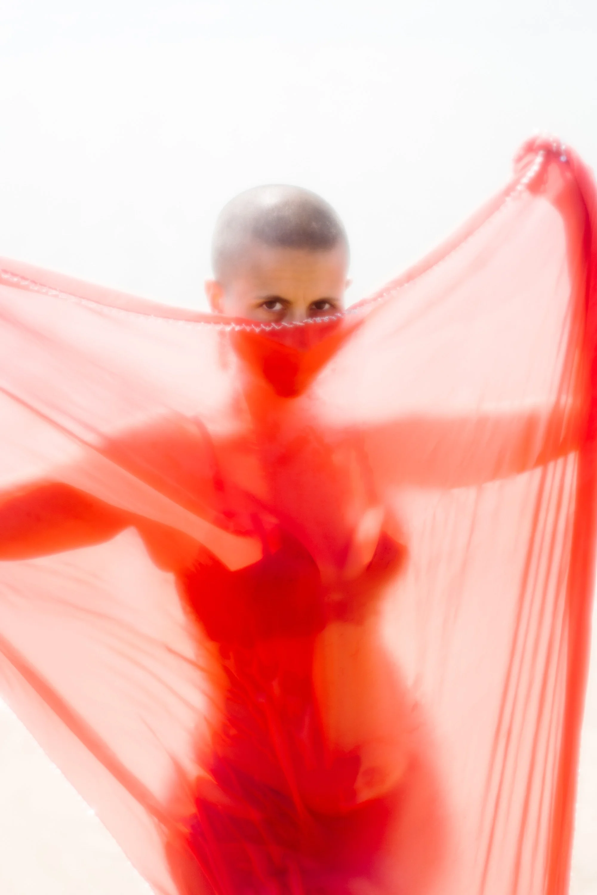 Une personne âgée avec une tête chauve qui regarde au-delà d’un tissu en tissu translucide de couleur rouge ou rose, tenant le tissu avec ses mains, dans un fond blanc.