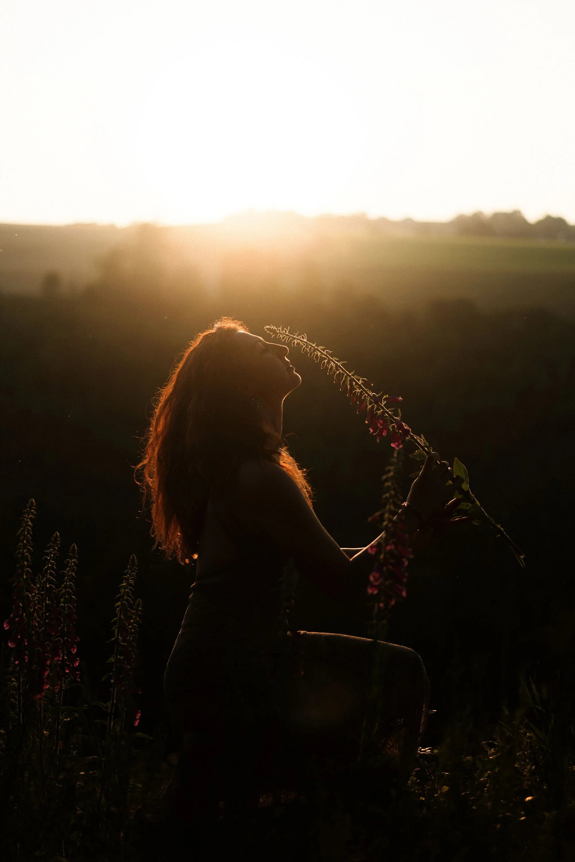Une femme au profil, en position assise, dans une nature sombre, tenant une branche de fleurs, avec un grand soleil couchant à l'horizon, créant une silhouette dramatique et chaleureuse.