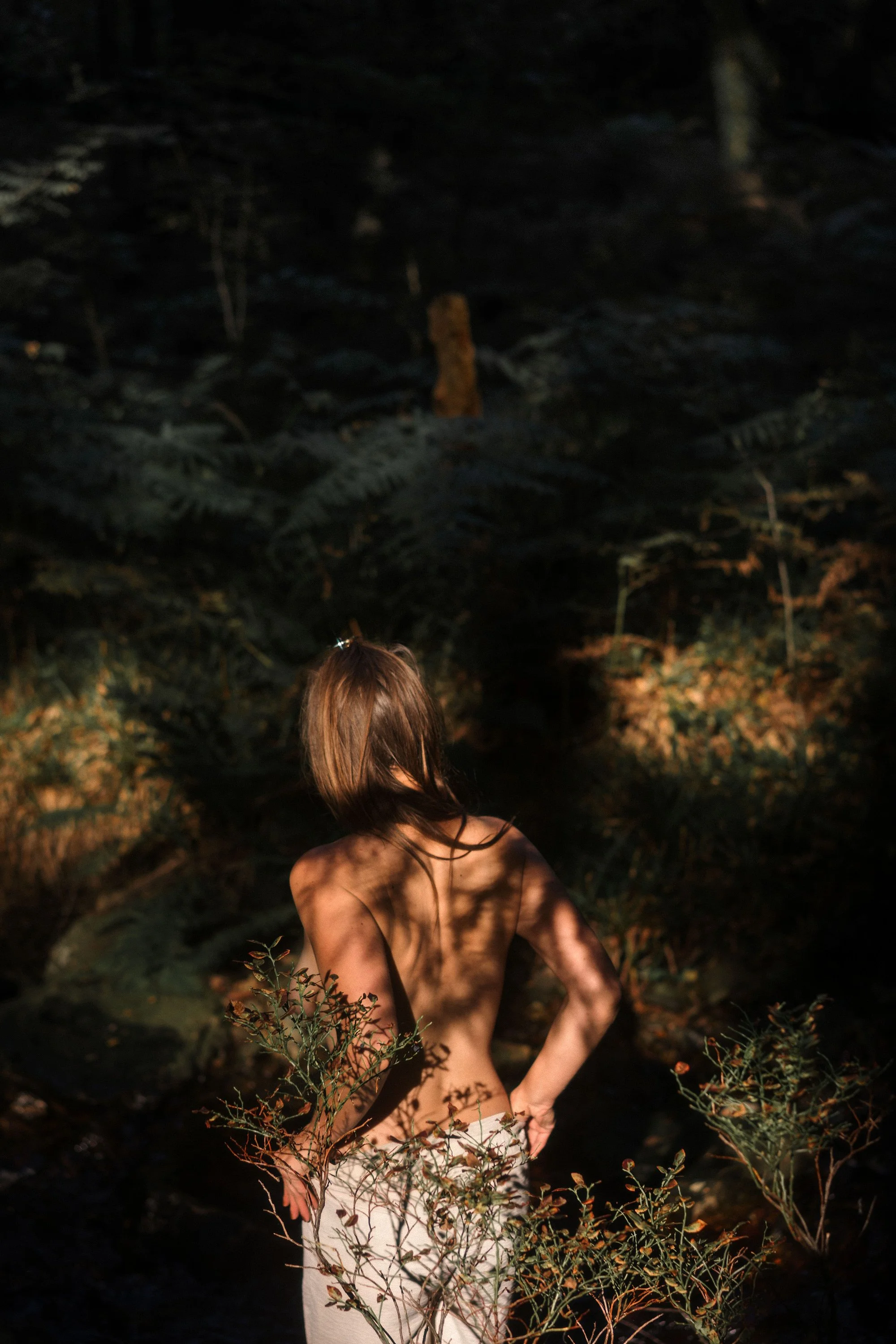 Une femme nue, vue de dos, dans une forêt sombre, entourée de branches et de feuillage, la lumière naturelle crée des ombres sur sa peau