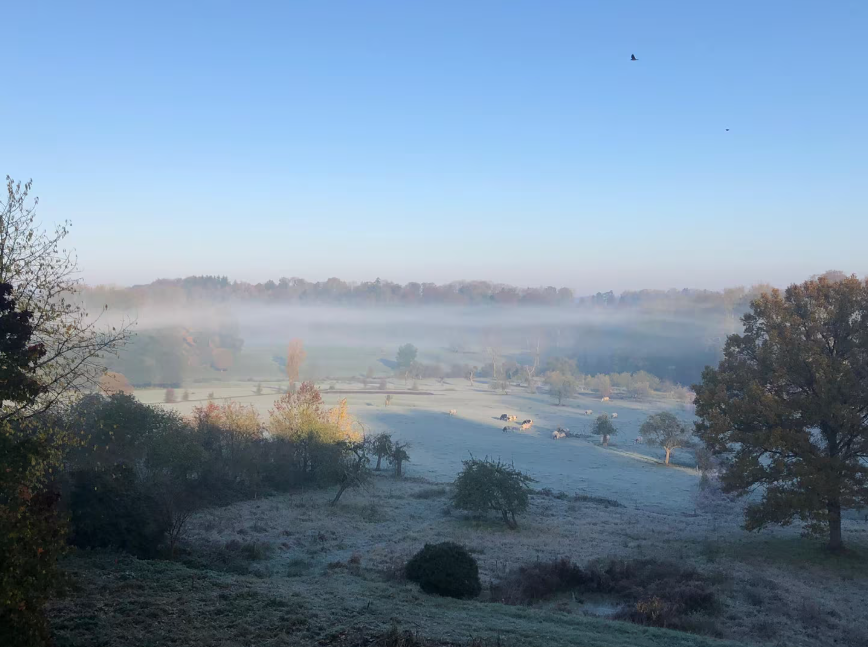 Paysage rural avec des arbres, un champ recouvert de givre, et une fine brume matinale, sous un ciel clair.