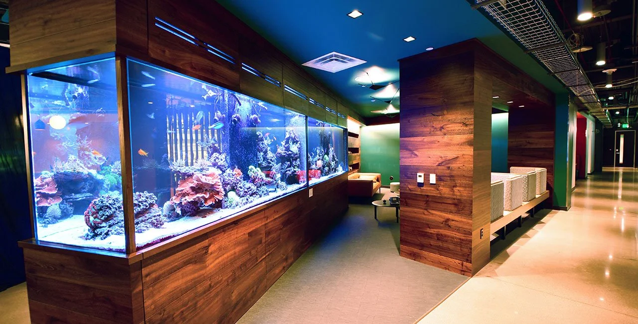 Interior of a modern lobby featuring a large saltwater aquarium filled with colorful fish and coral, wooden wall panels, and seating area with chairs and small tables.