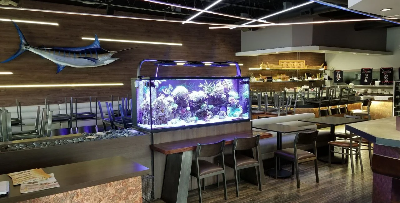 Interior of a restaurant with a large saltwater aquarium situated on a wooden counter, a mounted marlin fish on the wall, and modern lighting fixtures hanging from the ceiling. Empty chairs are stacked on tables and some chairs are arranged around th