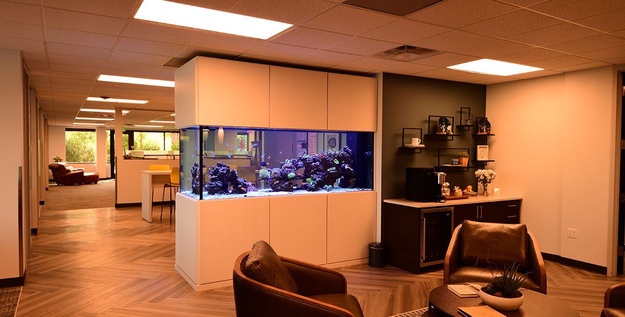Office lounge area with a large aquarium filled with coral and fish, dark wood furniture, shelves with decor, and seating with a table