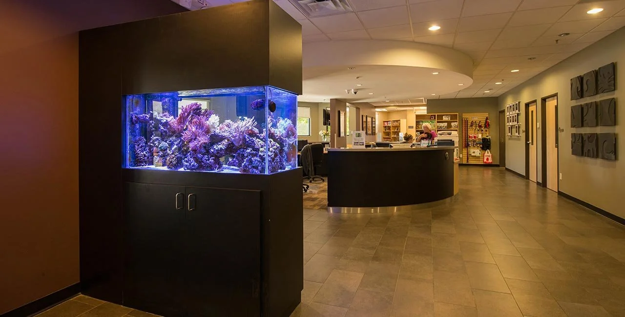 Lobby area with a large saltwater aquarium filled with colorful corals in the foreground and a curved reception desk with a person behind it in the background.