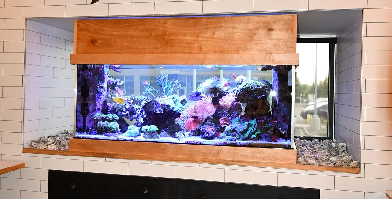 A built-in rectangular saltwater aquarium with colorful coral and fish, surrounded by a wood frame, set into a wall with white subway tiles.