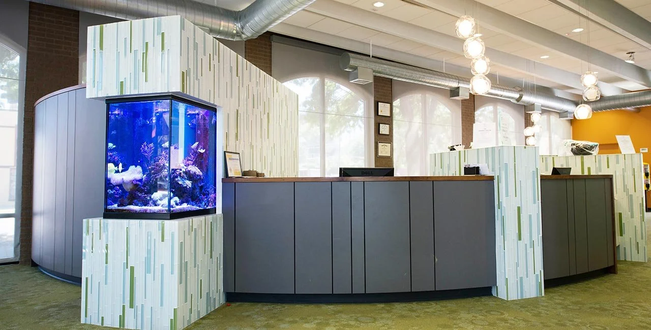 Modern office reception area with a large fish tank, gray curved reception desk, decorative column with green and white tile pattern, and large windows with natural light.
