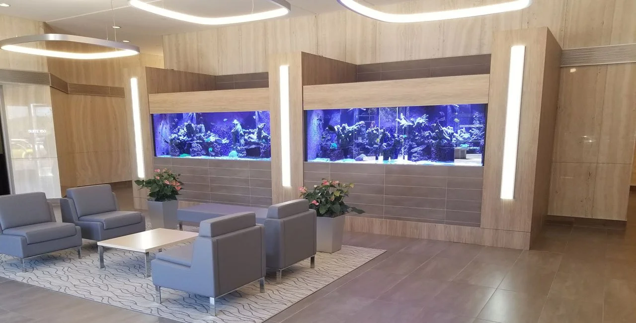 Lobby area with four grey armchairs around a white coffee table, potted plants, and two large saltwater aquariums built into the wall, illuminated with blue lighting.