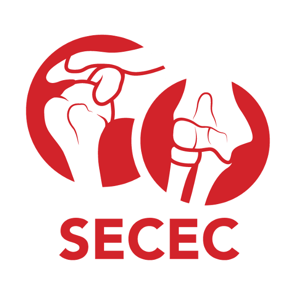 Graphic with two circular illustrations of hip joints, one with a healthy joint and the other with a damaged or diseased joint, and the text 'SECEC' below.