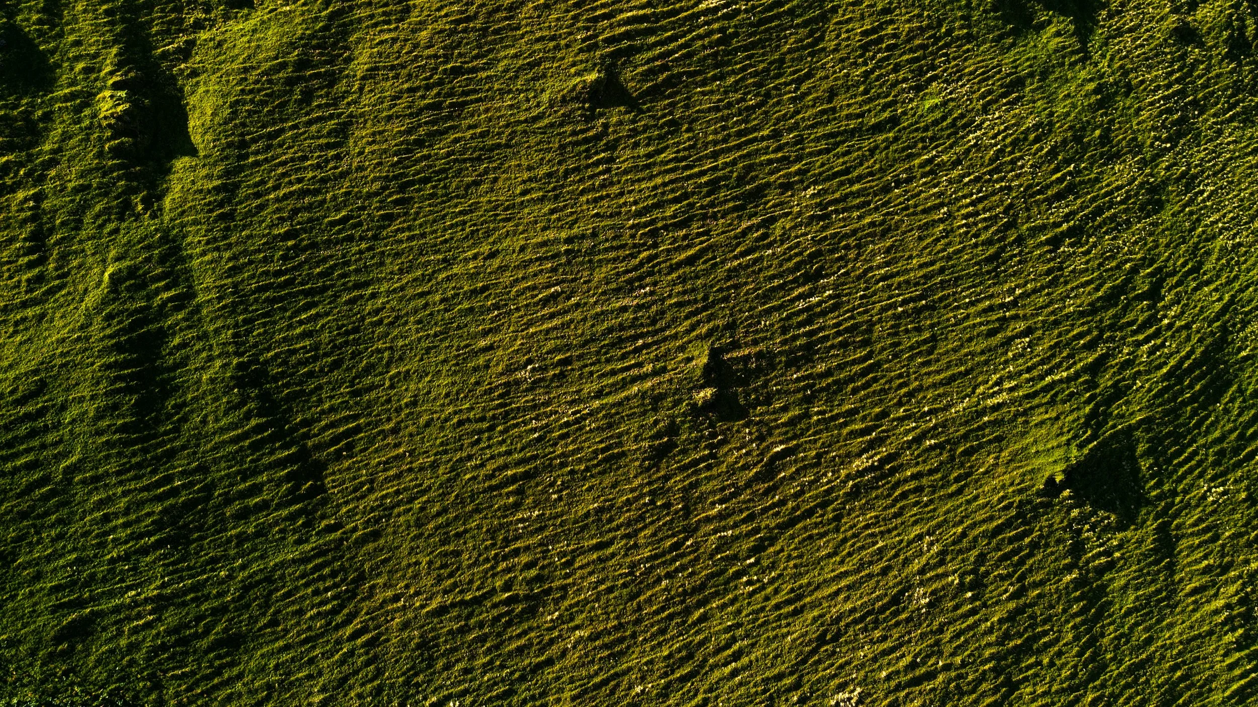 dji_fly_20220905_101348%20am_989_1662398044287_photo.jpeg