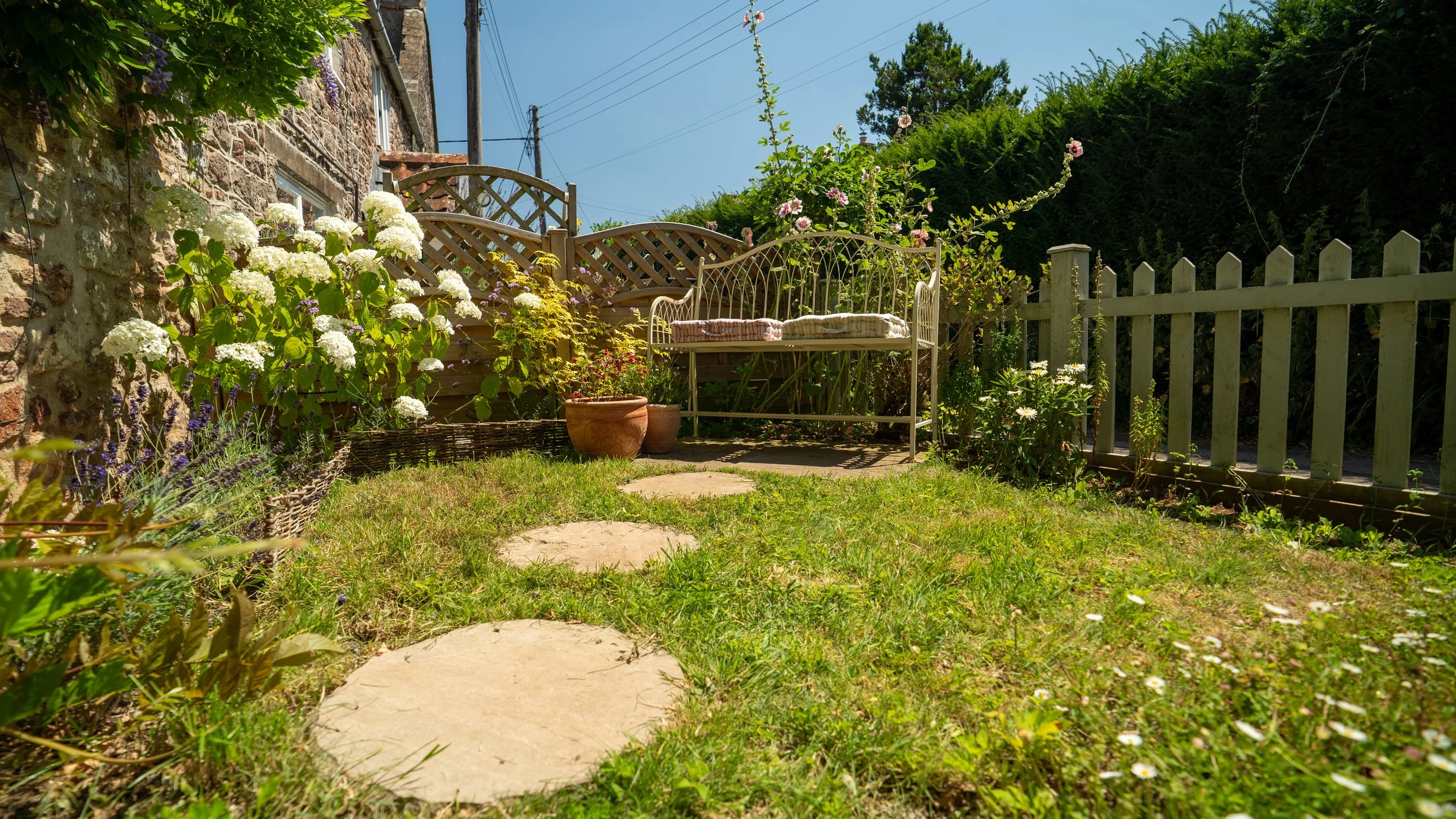 DSC09764.jpg