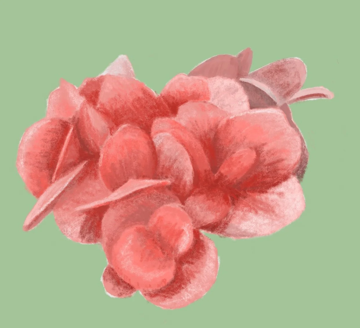 Nola flowers.jpeg