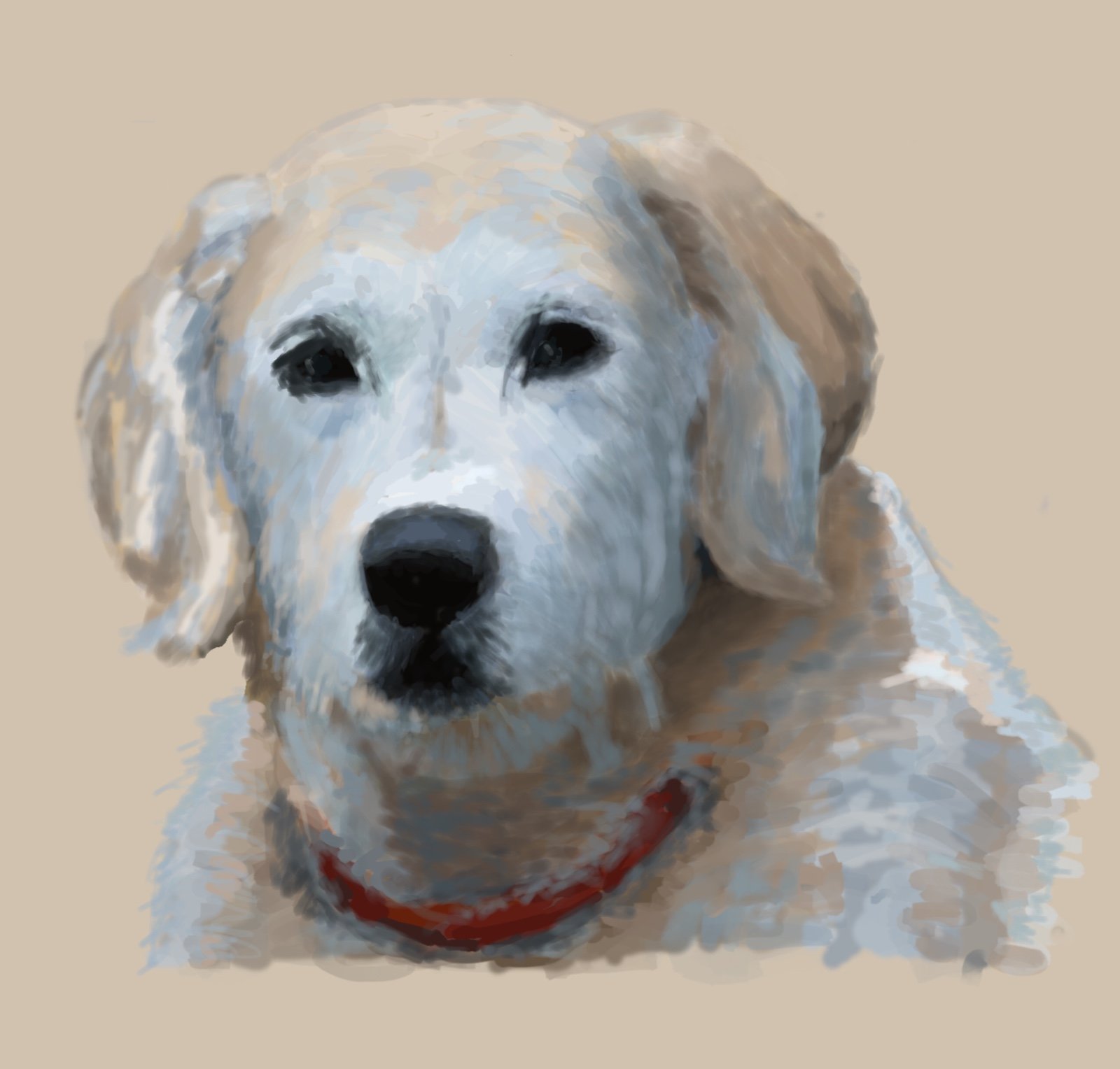 Rosy-Beige Background.jpeg