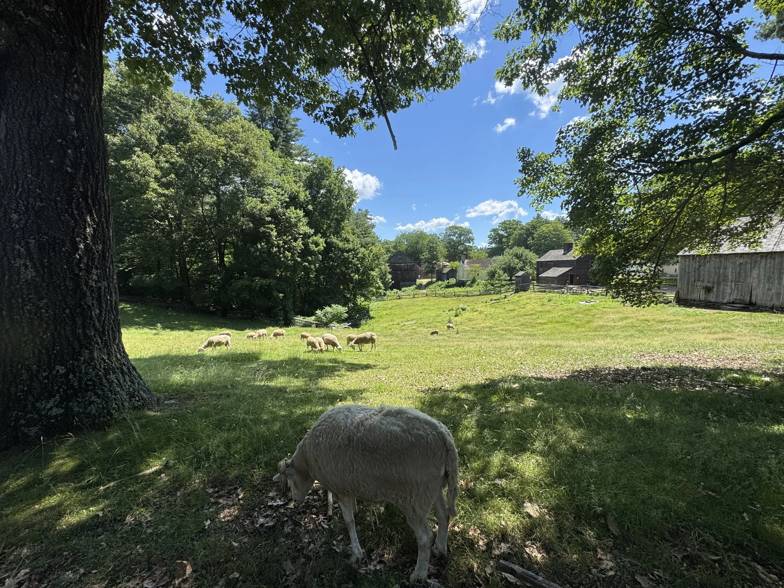 Hope Springs