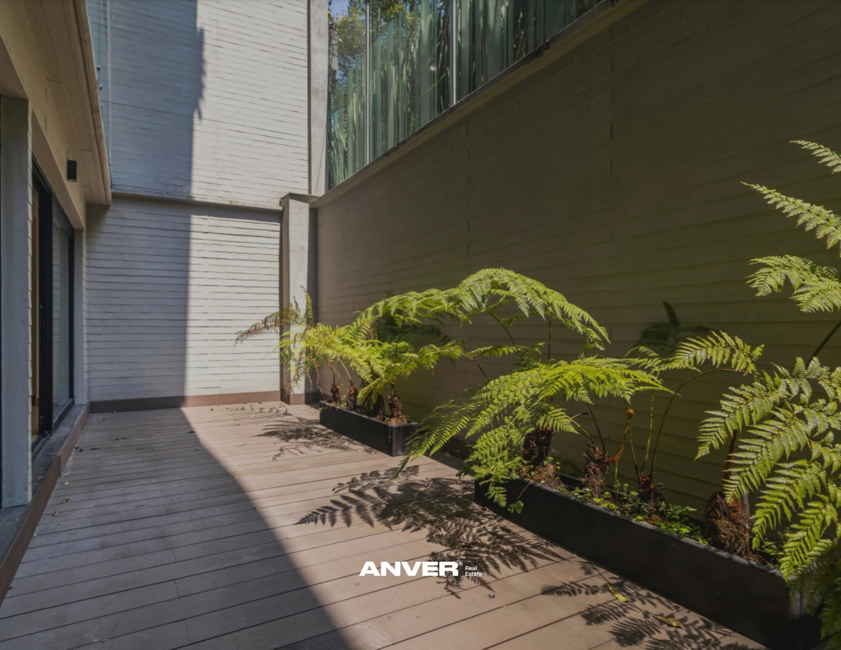 Un patio con piso de madera, una pared blanca a la izquierda y una pared de listones en el fondo. En la esquina derecha, plantas en macetas largas. La sombra de una planta se proyecta en el piso y en la pared.