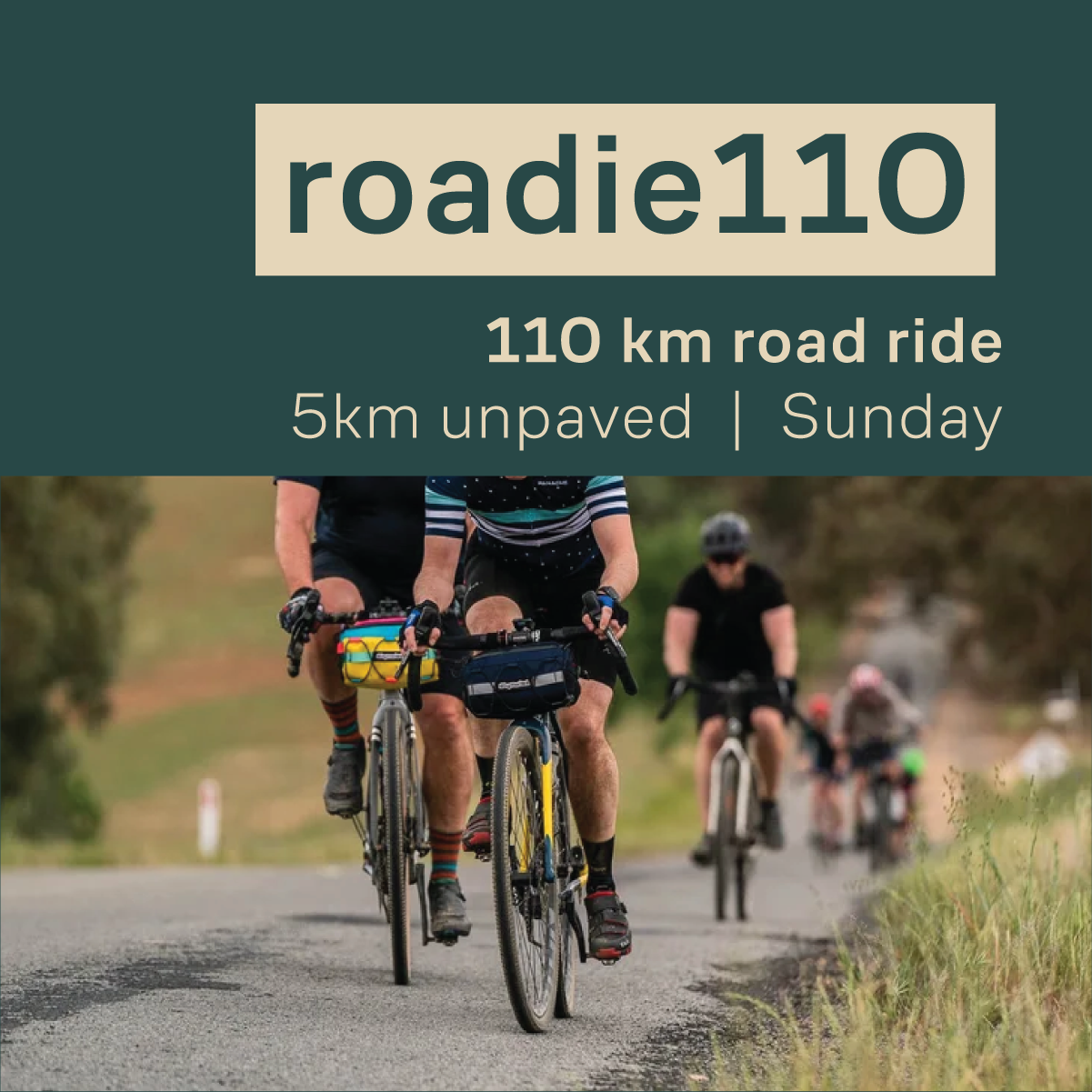 Roadie 110