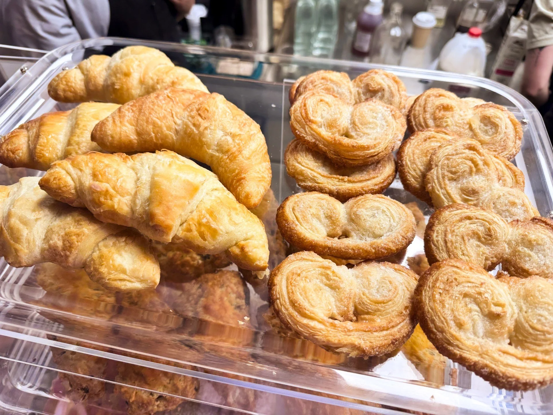 palmiers.jpg