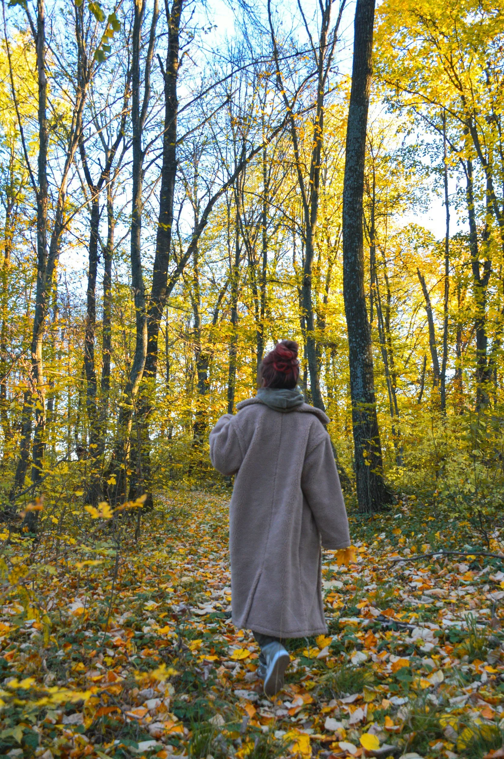 Person walking through a quiet forest path in autumn.