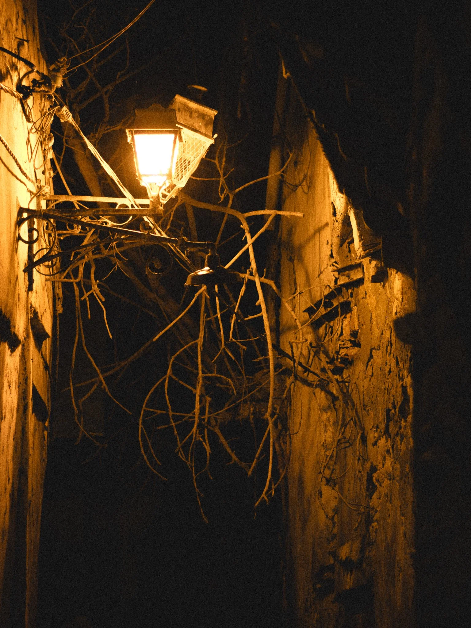 Nighttime scene of a street lantern attached to a weathered wall, with intertwined tree branches casting shadows in the darkness.