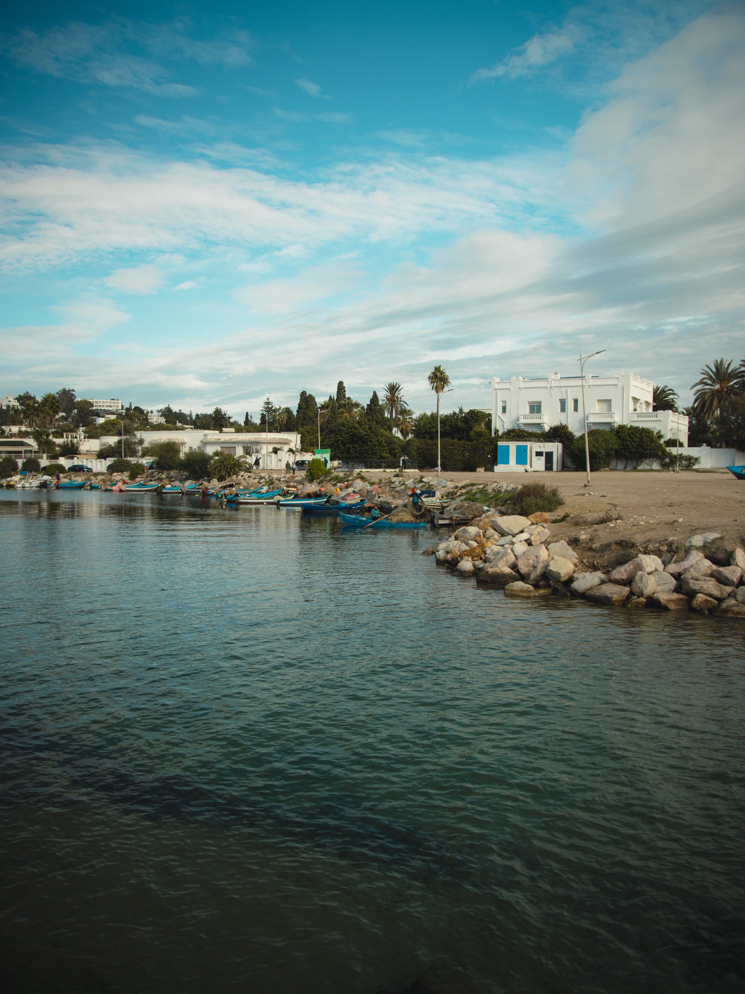 River with boats along the shore, white buildings, palm trees, and a partly cloudy sky.