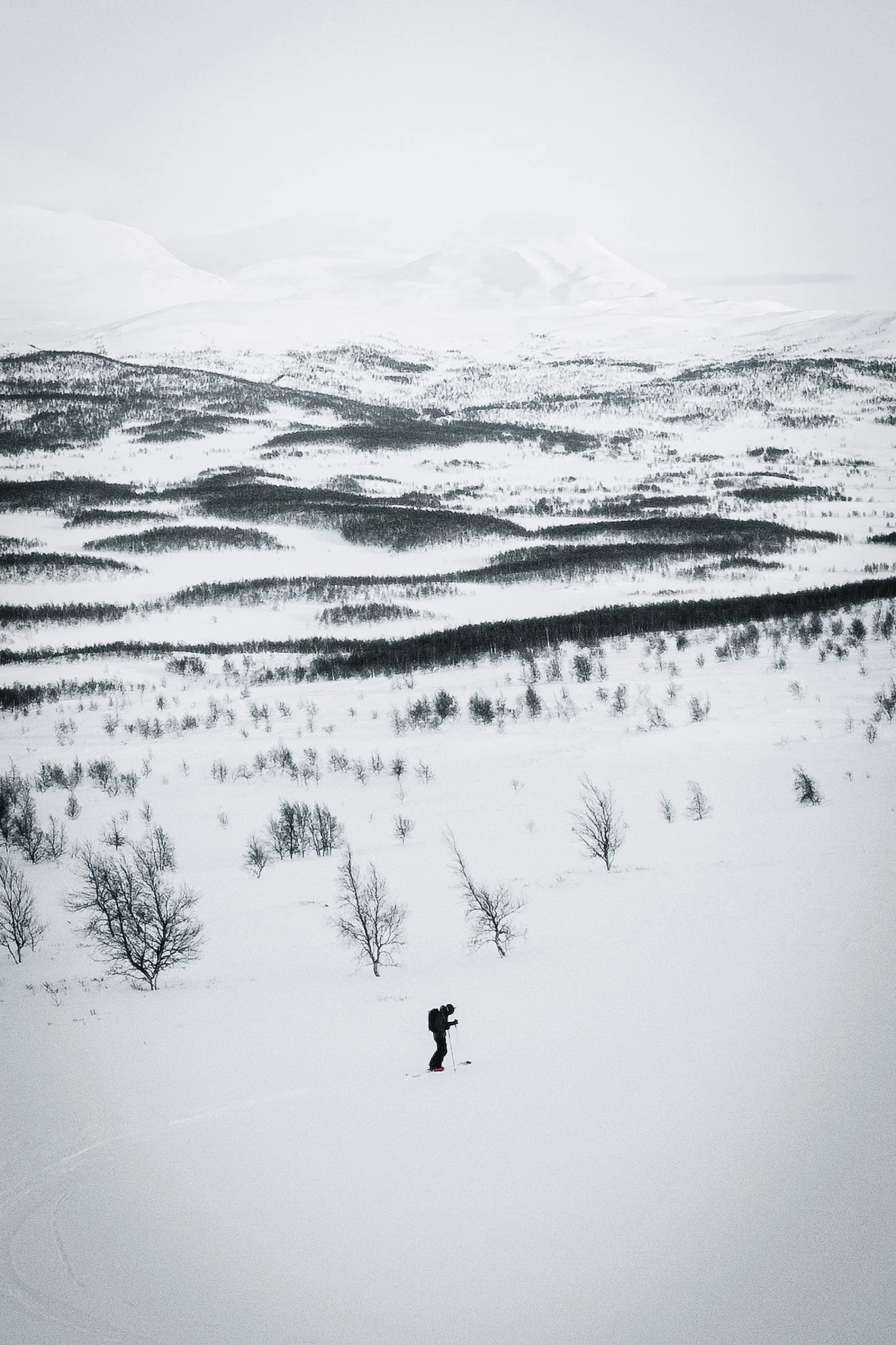 DJI_0340.jpg