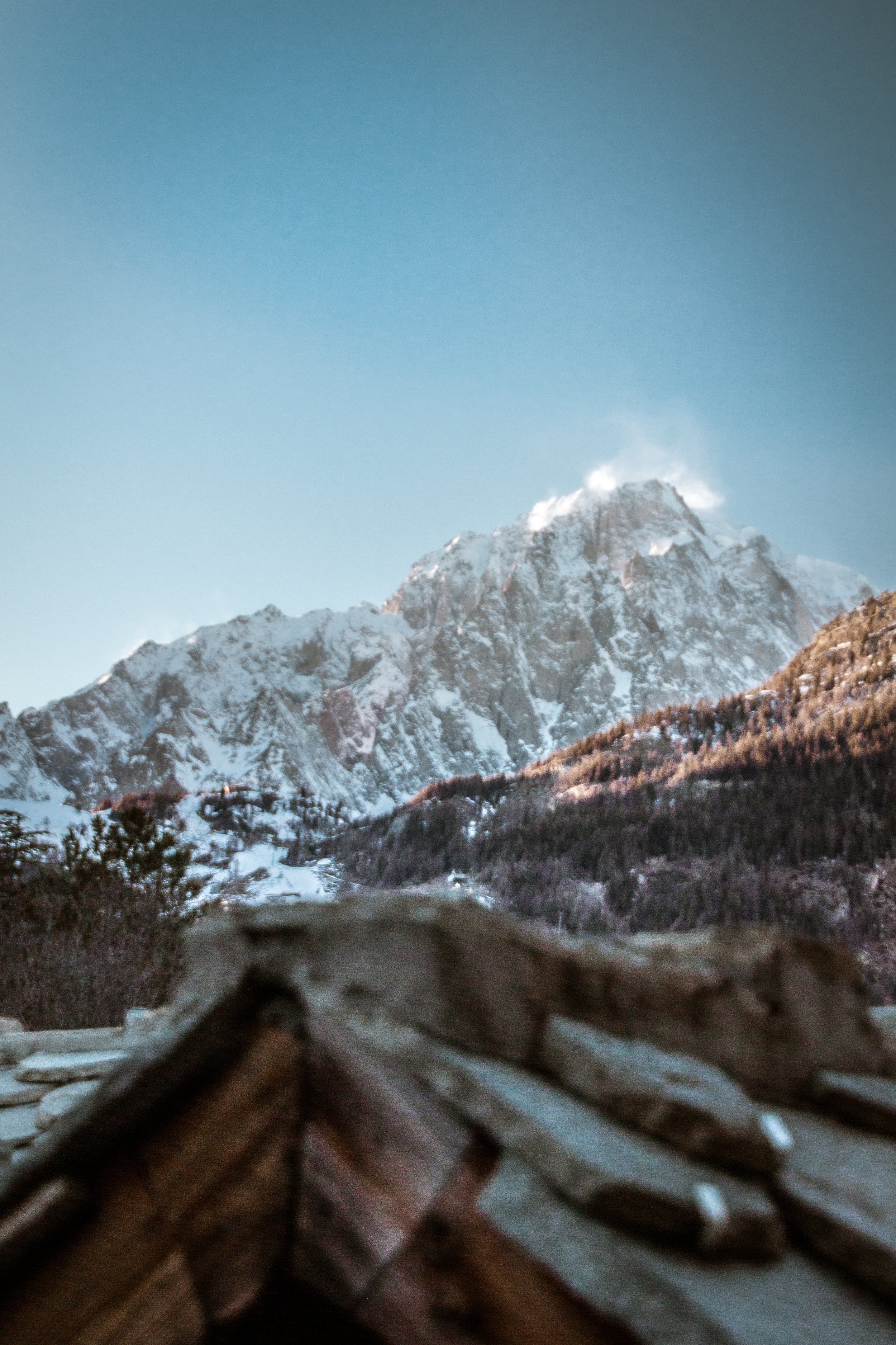 Close-up of a bird's feathers with snow-covered mountain peak and clear blue sky in the background.
