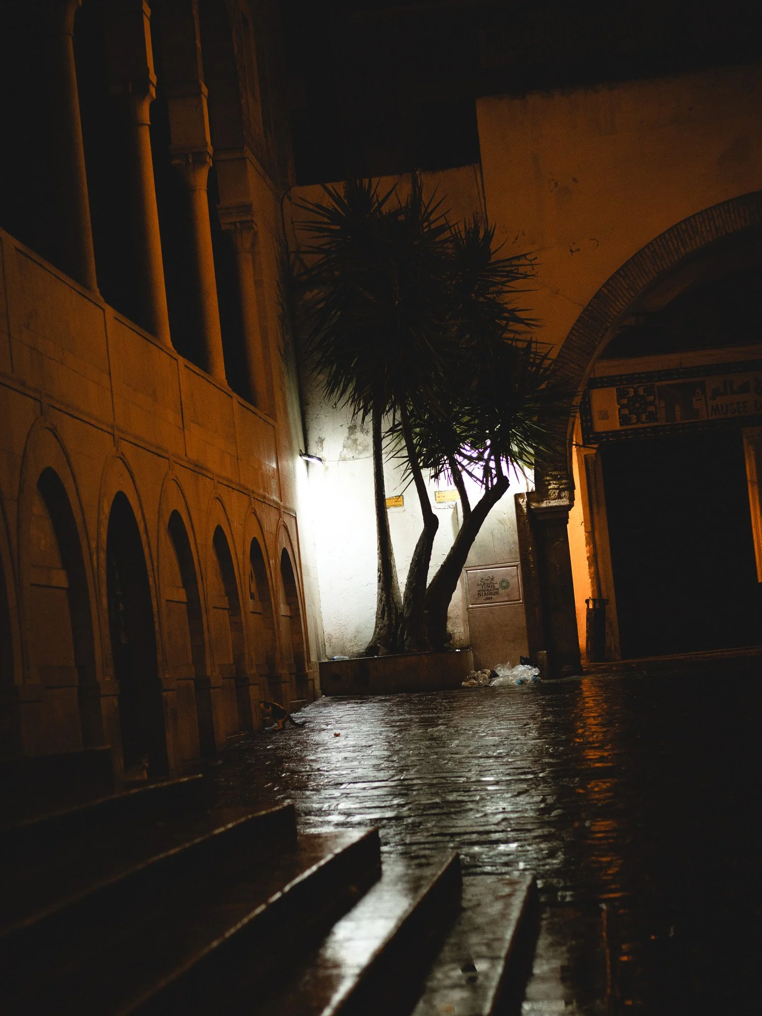 Nighttime scene with a wet cobblestone street, illuminated by a streetlamp. There is a large tree with a spiky appearance, and an arched doorway to a building on the right. A bench is visible in the foreground, with some scattered trash near the base of the tree. The scene has a moody, quiet atmosphere.