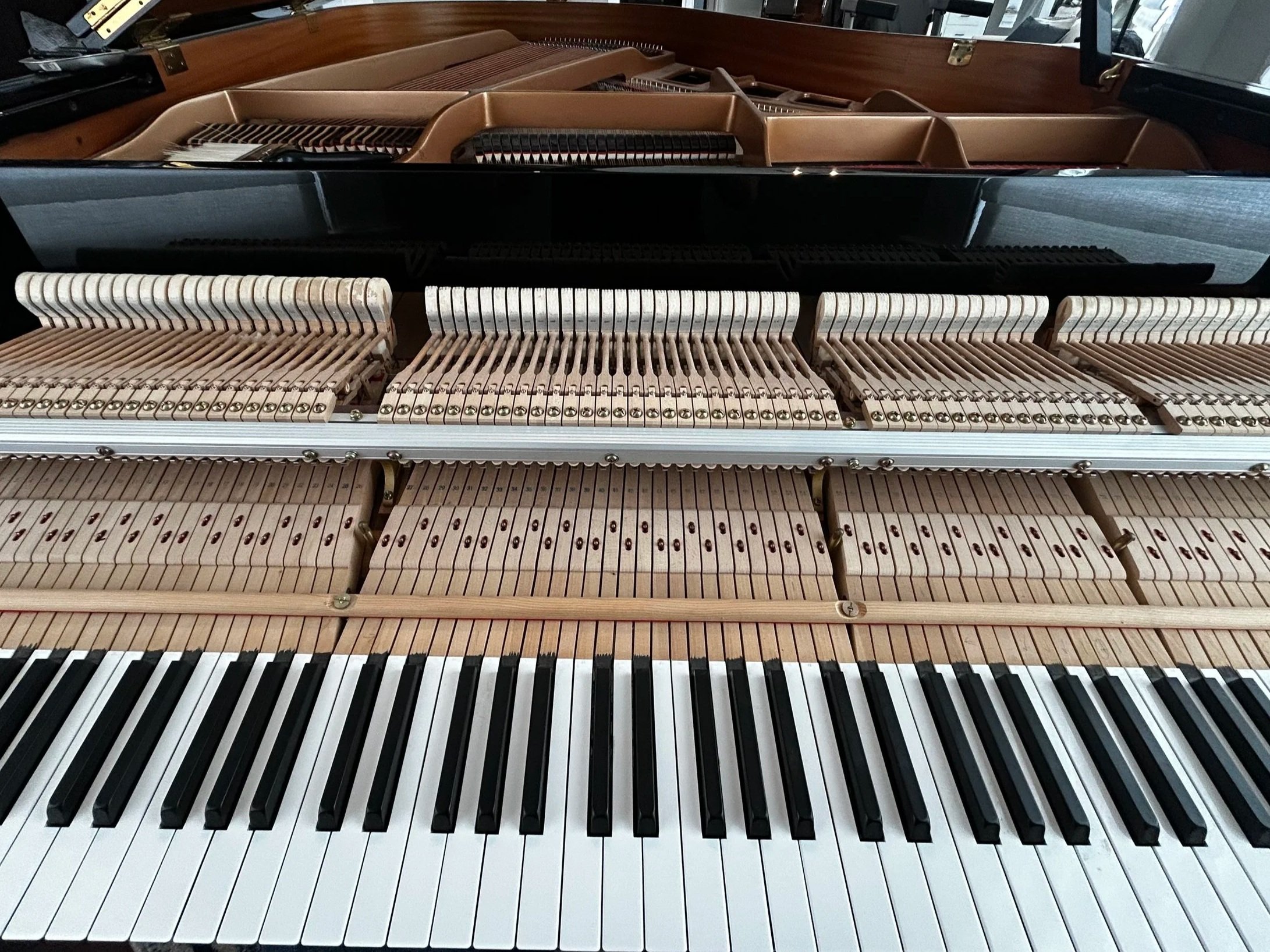 Pulling the action for a voicing on this Yamaha GH1 Baby Grand