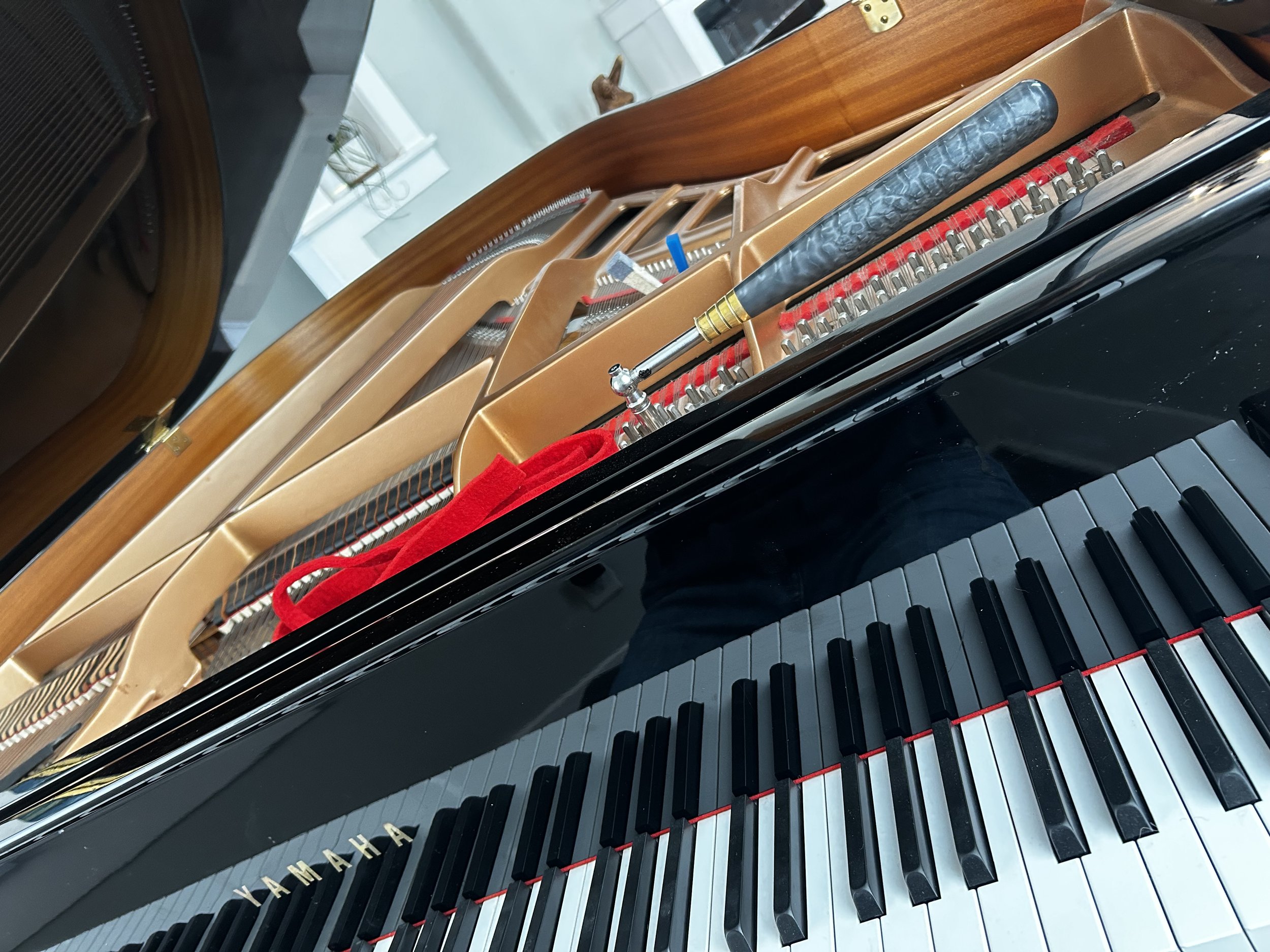 Tempered Concert Tune, Inspection, and Deep Cleaning
