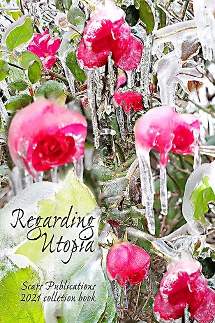 frozen red flowering rose buds with green leaves after a freeze