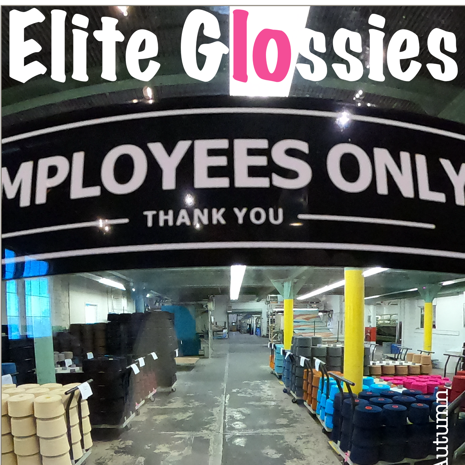 An aisle inside a store with a sign that says "elite Glossies" and "EMPLOYEES ONLY." The aisle features shelves stocked with black, pink, and natural-colored yoga mats or similar rolled-up mats. The store has bright lighting, yellow support columns, and visible shopping carts.