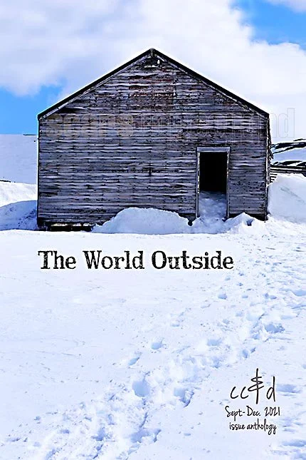 A weathered wooden building surrounded by snow, with a cloudy blue sky above, and the text "The World Outside" on the snow in front