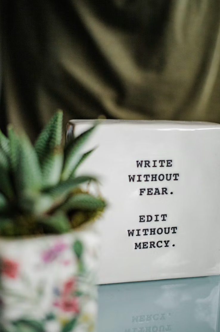 A white box with the quote, "Write without fear. Edit without mercy." in black text. A small potted succulent plant is partially visible in the foreground on the left side.