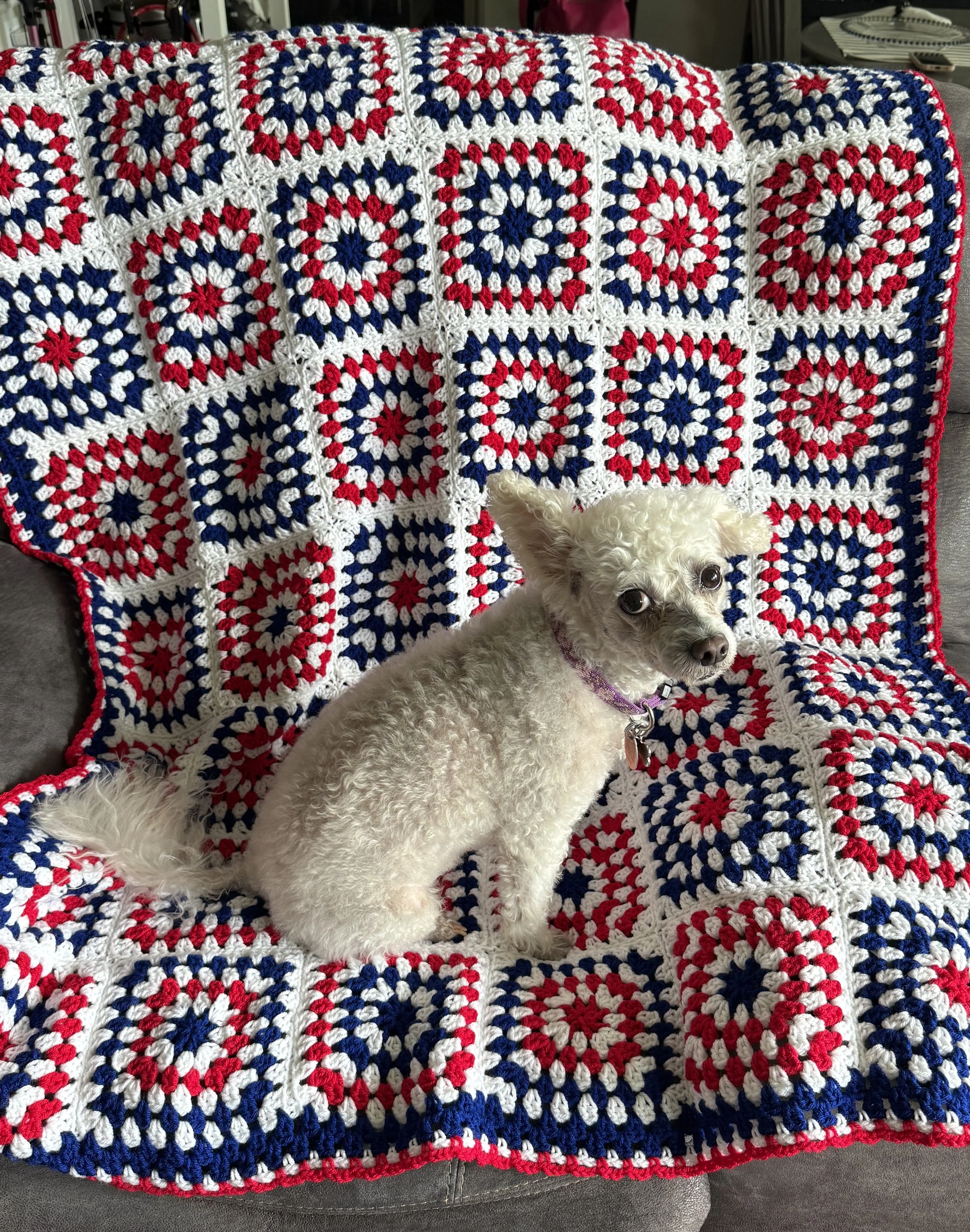 Throw with dog