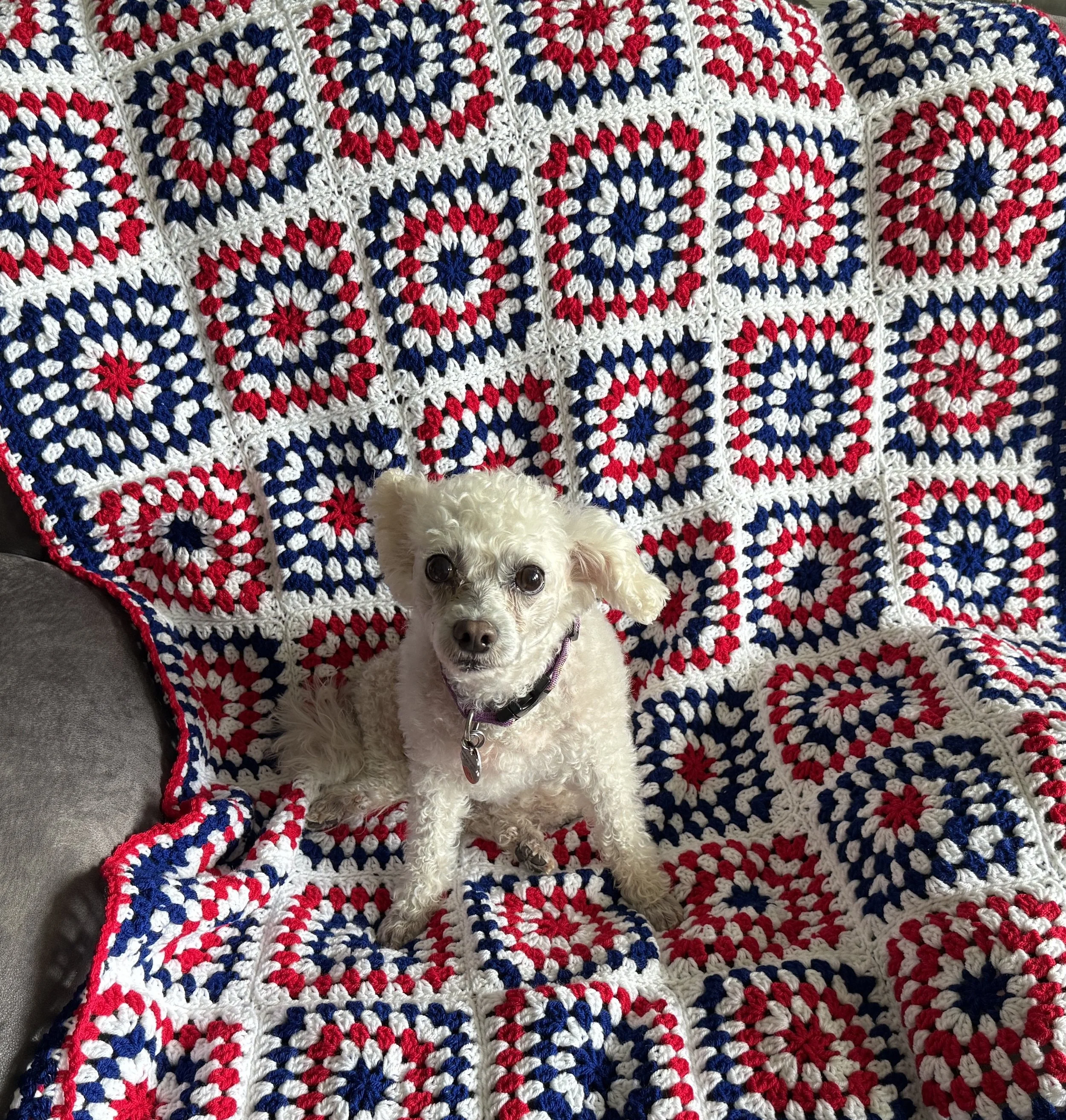 Red, White, and Blue Throw with dog