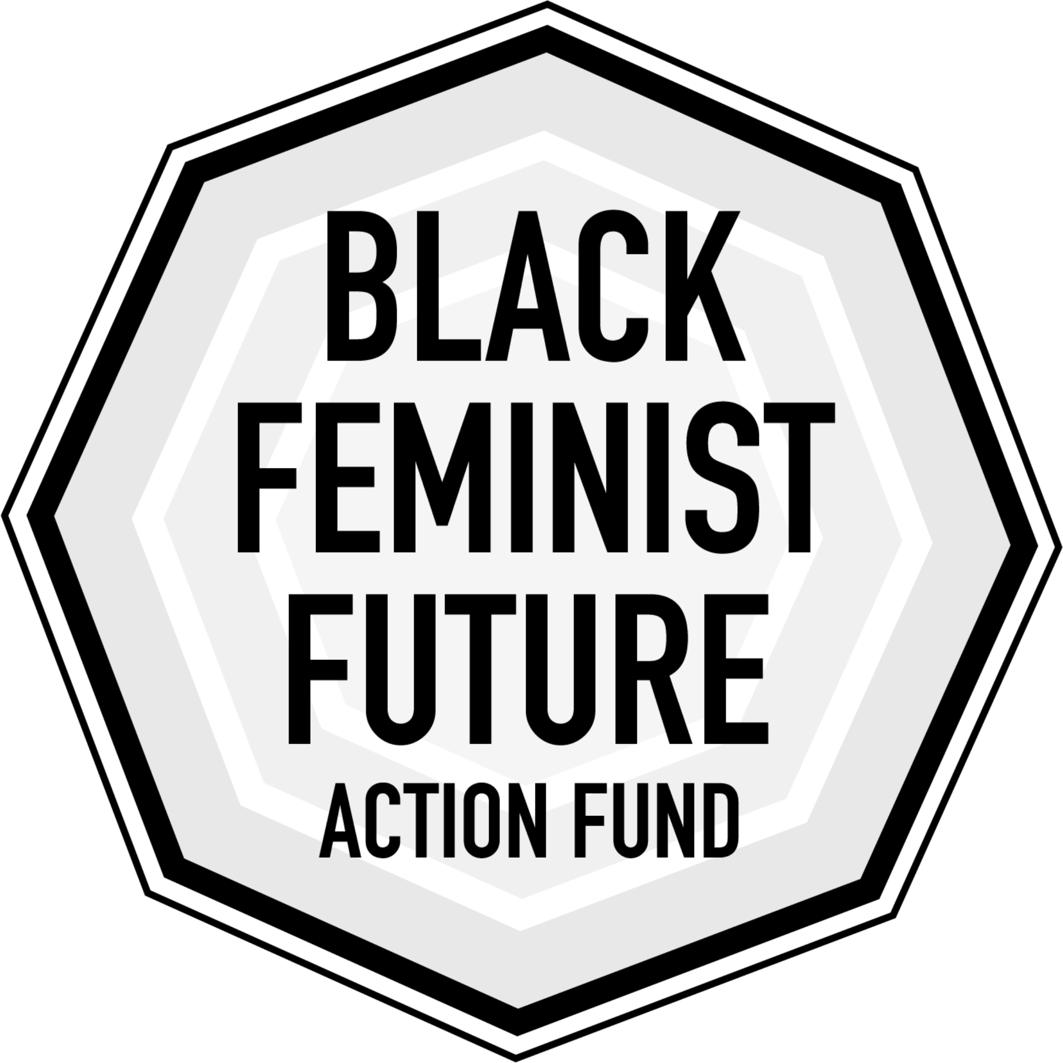 Hexagonal sign with the words "Black Feminist Action Fund" in black text on a white background, outlined in black.