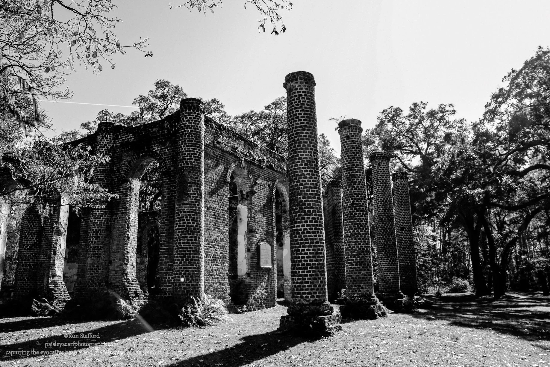Faith, Place, and the Religious Imagination of South Carolina