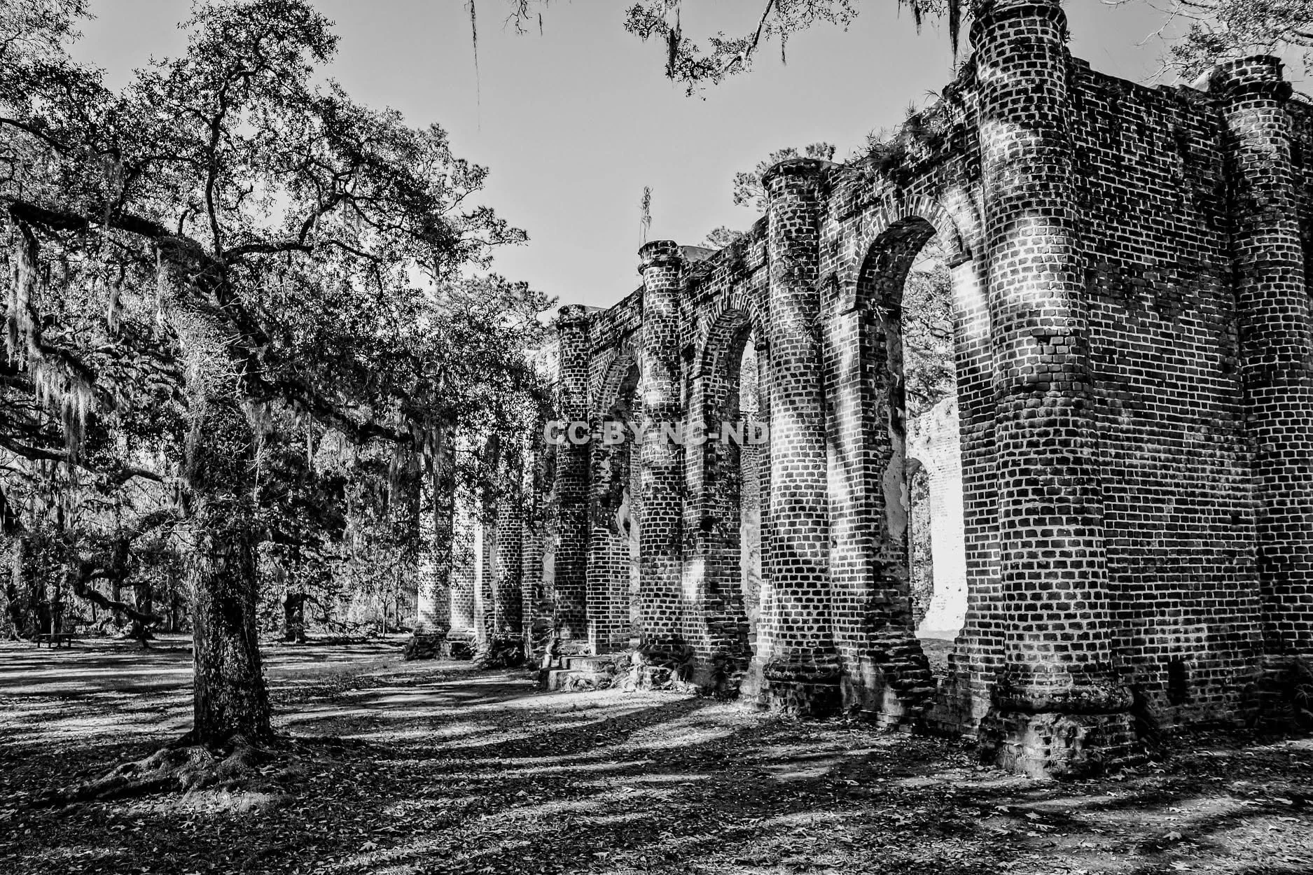 The Ruins Keep the Old Prayers: Nature, Faith, Education, and the Shape of My Soul