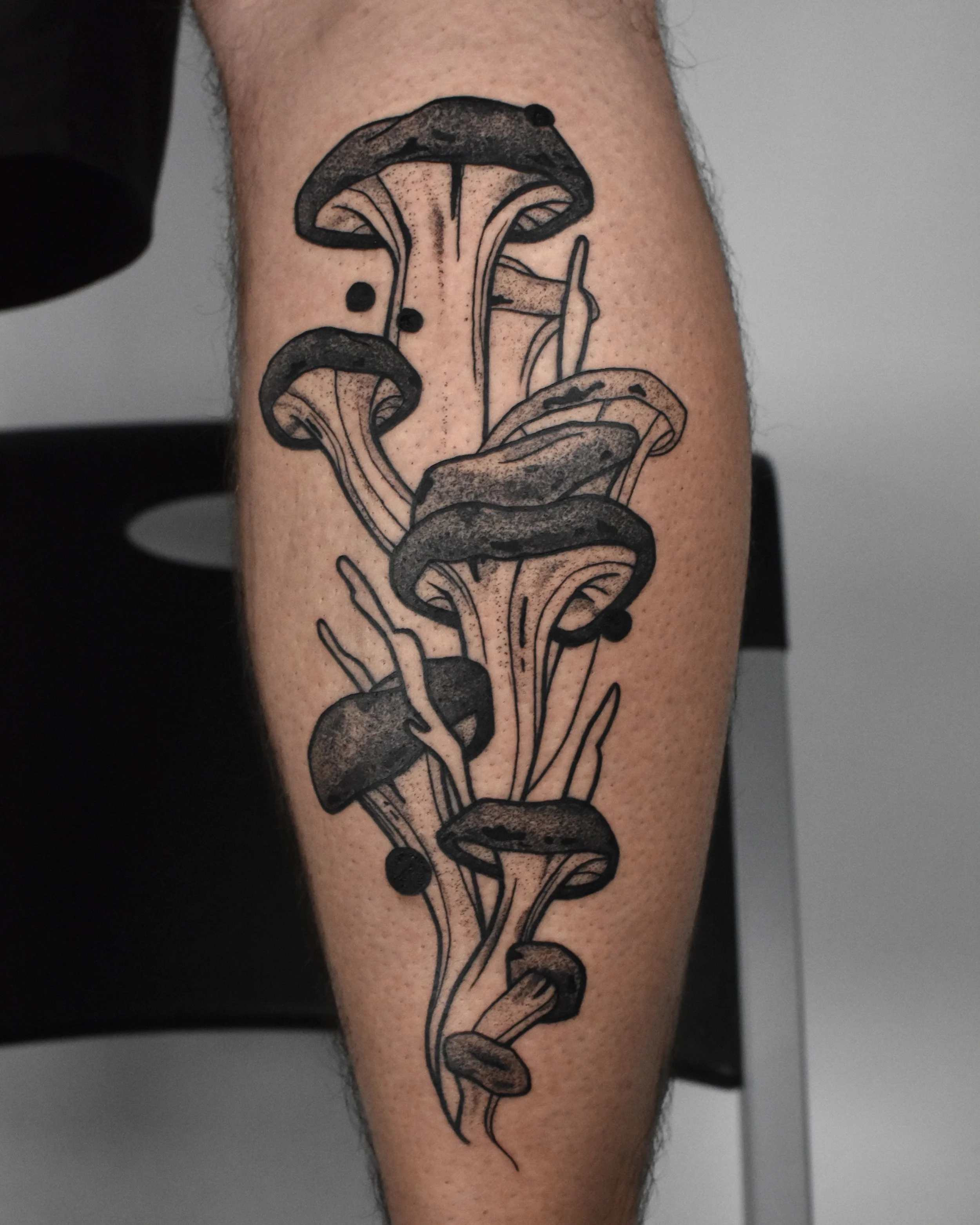 musshroomleg.JPG