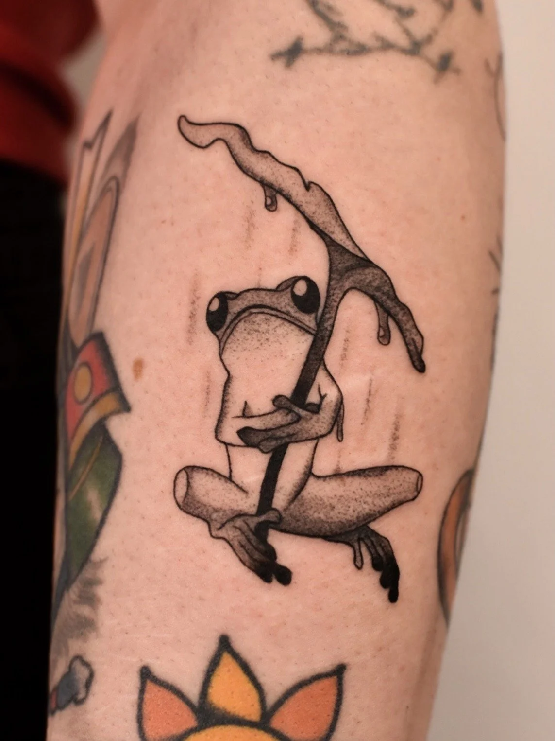frog 1.JPG