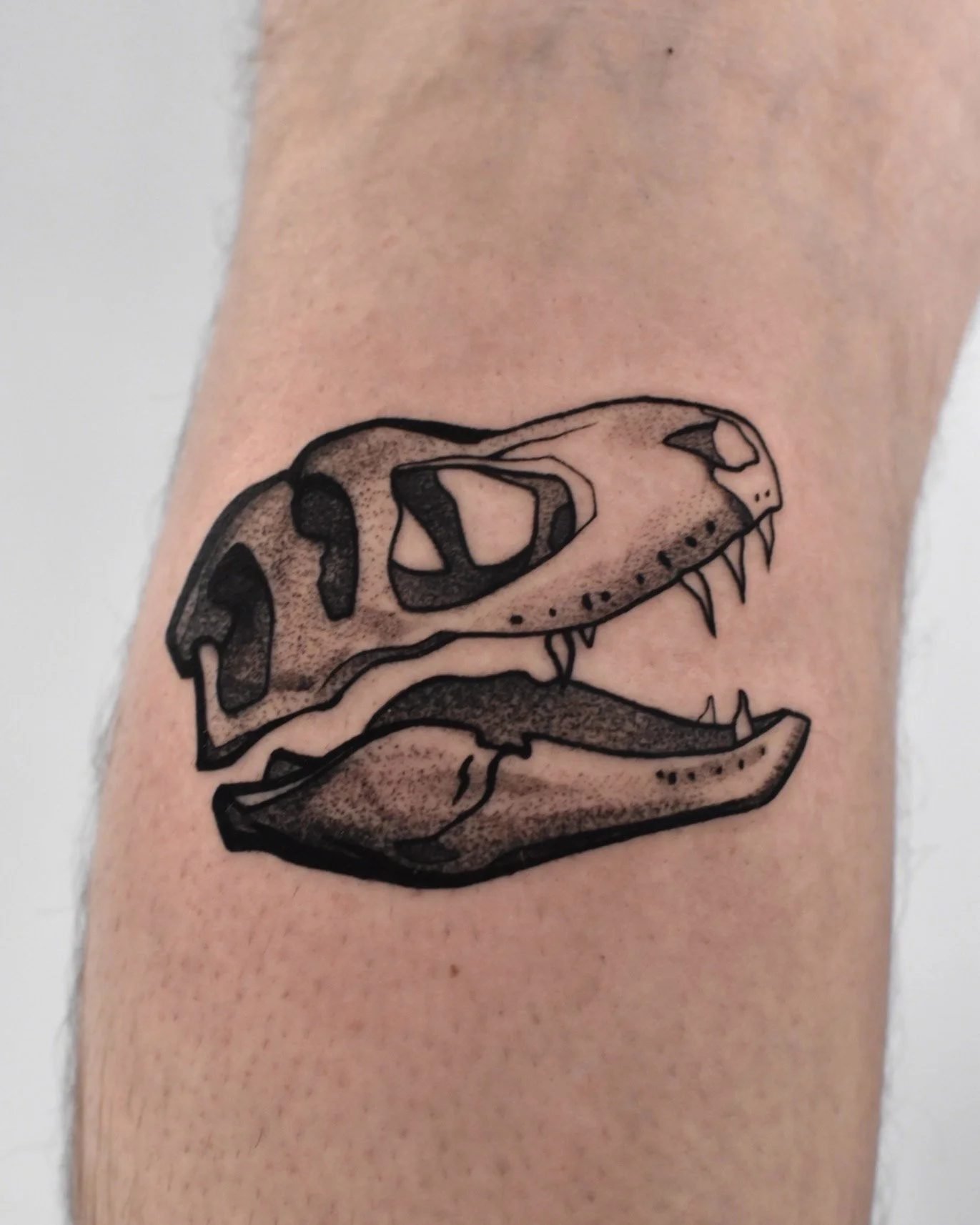 Trex 1.JPG