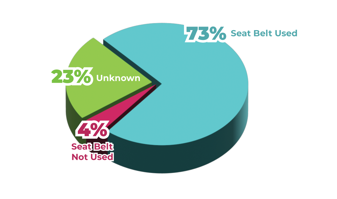 Pie chart showing percentages of seat belt usage with segments labeled 73% are seat belts used, 23% are unknown, and 4% seat belts not used.