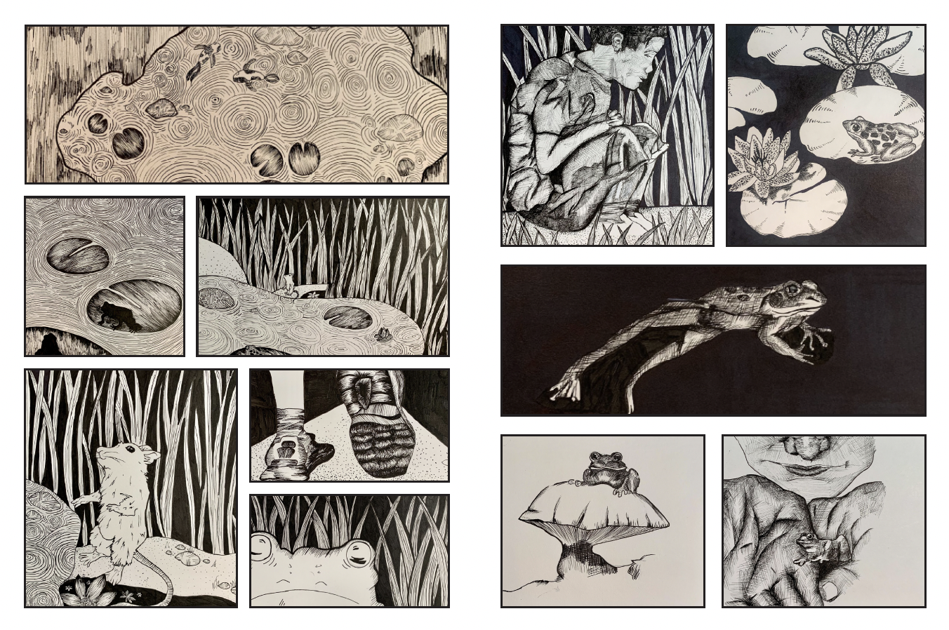 Collection of black and white illustrations featuring frogs, animals, and human figures, with detailed line work and textured backgrounds.